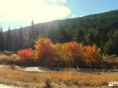 Valle Hermoso - Pinar del Espaldar; meditacion en madrid rutas de senderismo almeria viajes fin de s